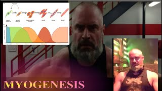 Muscle Farming How Myogenesis might allow quotPerpetualquot Gains [upl. by Fita823]