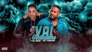 MC SHEK  MC TORUGO  VAI GOSTOSINHA  REMIX BREGA FUNK  2024 [upl. by Riane]