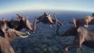 Sky Diving Elephants Is This Real [upl. by Steep]