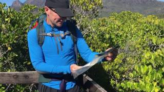 Backpacking the Thorsborne Trail on HinchinBrook Island  video diary [upl. by Nwahsav]