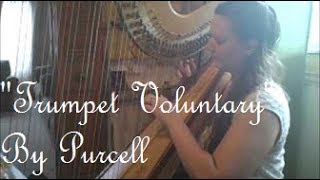 Trumpet Voluntary Theme PurcellClarke on Harp  The Michigan Harpist [upl. by Ainitsirc]