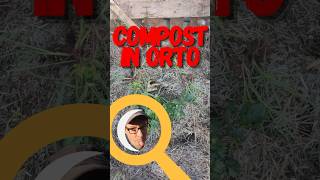 Il potere del compost segreto di un orto rigoglioso [upl. by Annadroj]