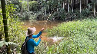 Pescaria de traíra em um açudinho abandonado estavam escondidas de baixo do capim deu bruta [upl. by Ecnerrat946]