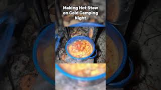 Cooking Food On Cold Camping Night [upl. by Obala]