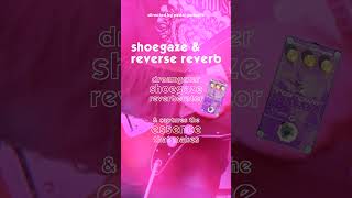 shoegaze amp reverse reverb  the guitar effect for instant dream pop tone shoegaze reverb dreampop [upl. by Karissa]