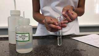 Chemistry Qualitative Analysis Test for chlorine gas [upl. by Atsirk]