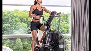 Schwinn Airdyne Pro Review Exercise Bike [upl. by Hcelemile]