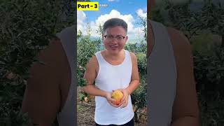 Mote ka anar biggaya funny comedy fruit memes [upl. by Atirehc225]