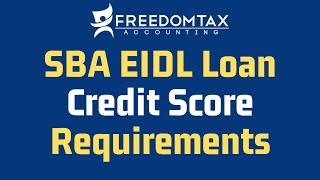 SBA EIDL Loan Minimum Credit Score Requirements [upl. by Llennol215]