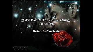 We Want The Same Thing Remix  Belinda Carlisle lyrics [upl. by Sanfo]