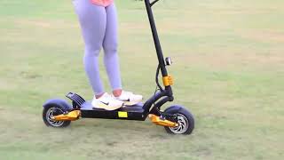 Best Electric Scooter of 2024 WAS TOO FAST  LEOOUT SX10 E Scooter Review [upl. by Seditsira448]