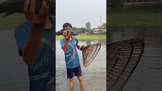 Real Amazing Big Fishing By Polo  Amazing Big Fishing Hunting By Traditional polo Trap fishing [upl. by Mcdonald233]