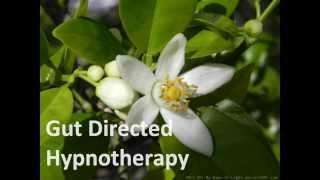 Gut Directed Hypnotherapy [upl. by Sinnelg399]