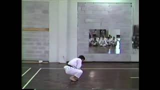 Kata quotUNSUquot por Maestro Hirokazu Kanazawa [upl. by Tace]