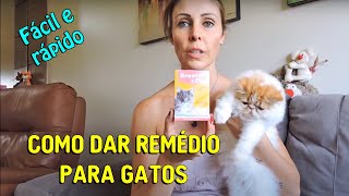 Como dar REMÉDIO comprimido para GATOS FÁCIL e RÁPIDO  Gatil Hauser [upl. by Sears]