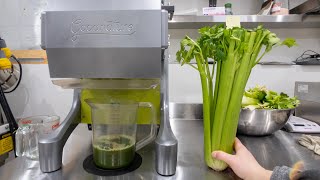 HOW MUCH JUICE IS IN 1 STALK OF CELERY [upl. by Christalle]