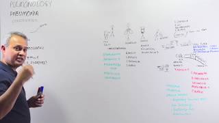 An Overview of Classification of Pneumonia [upl. by Gnilrets]