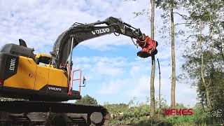 Cirkelzaag Bomengrijper  Groeneveldt Grijpers  Ufkes Greentec  Tree Felling [upl. by Aseeram676]