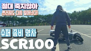 SCR100  시승기  스쿠터  좀비명카  오토바이  세컨드  입문  가성비  추천 [upl. by Hembree346]