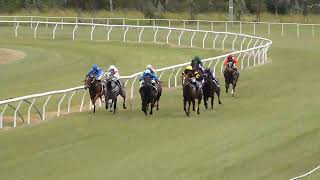 Mareeba 20240526 Race 1 [upl. by Bertrando724]