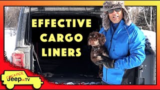 Effective Cargo Liners [upl. by Euqinahs]