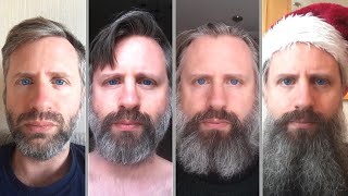 2 years 4 beards  Time lapse [upl. by Dwane]