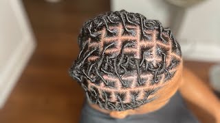 Starter loc Retwist  First Retwist  how to style locs  barrel rolls tutorial [upl. by Ahsitram]