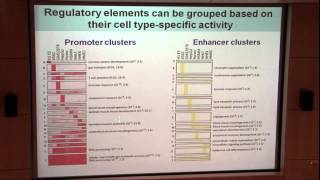 Bradley Bernstein Visualizing Epigenomics Data [upl. by Konikow828]