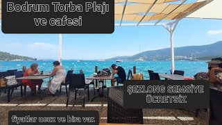 Bodrum torba halk plajı ve cafesi şezlong şemsiye ücretsiz yiyecek içecek ucuz bira var [upl. by Elokkin]