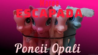 Marea ESCAPADĂ🫡🔮Poneii Opali🔮ep20 [upl. by Aihsetan]