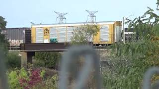 CN freight at Islington amp Steeles [upl. by Kila]