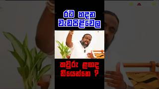 රට හදන්න පුළුවන් කාටද  Ranil Wickremesinghe Sajith Premadasa Anura Kumara Dissanayake [upl. by Hsirt]