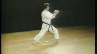 Jion  Shotokan Karate [upl. by Nevil201]