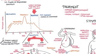 Comprenda La Fisiología De La Menopausia Síntomas Y Tratamiento [upl. by Alomeda90]