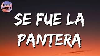 🎵 Grupo Firme Grupo Recluta – Se Fue La Pantera Letra\Lyrics [upl. by Prinz739]