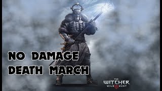 The Witcher 3 Wild Hunt  Caranthir Boss Fight No Damage NG Death March [upl. by Ayote]