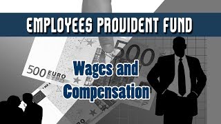 13 Employees Provident Fund amp Miscellaneous Provisions Act1952  Wages and Compensation  HR [upl. by Iccir553]