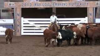 2013 NCHA Youth Cutting Todd Mulcahy amp EBs Phalaris [upl. by Innor]