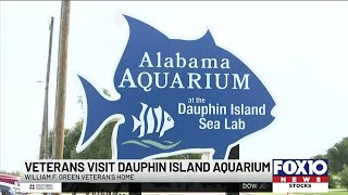 Veterans visit Dauphin Island Aquarium [upl. by Haonam36]