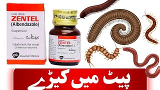 zentel tablet use in urdu  zentel syrup  zentel 400 mg tablet uses in hindi [upl. by Gabi]