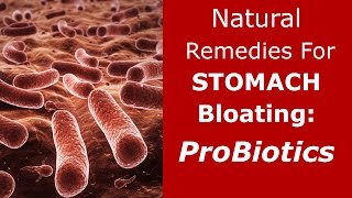 Natural Remedies for Stomach Bloating Probiotics [upl. by Rojam]