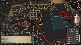 Chill Bowfa Only 5 Kill Trip at Cerberus using 2 Prayer potions Ironman [upl. by Gonyea]