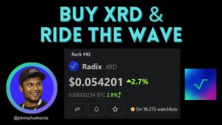 How to Buy XRD — RadixDLTs Native Coin [upl. by Nuawd]