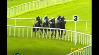 So You Think  Tattersalls Gold Cup 2011 G1 [upl. by Calley]