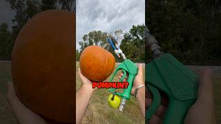 Pressure Washer VS Pumpkin 🎃 reels satisfying pressurewashing destroy [upl. by Rabjohn595]