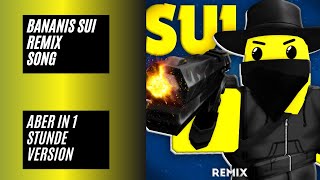 Banani  SUI REMIX 1 Stunde Version [upl. by Naihtniroc]