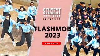 VERVE Flashmob 2023  Vidyalankar Institute of Technology  Mumbai [upl. by Eetnahc]