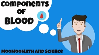 Components of Blood and their function [upl. by Aifoz696]