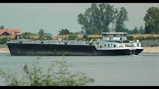 120 Shipspotting Binnenschiffe auf dem Rhein  TMS Moinos aus Wörth am Main bei RiedstadtLeeheim [upl. by Randell776]