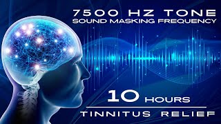 BEST Tinnitus Sound Therapy Treatment to ELIMINATE Ears Ringing [upl. by Niatsirk]